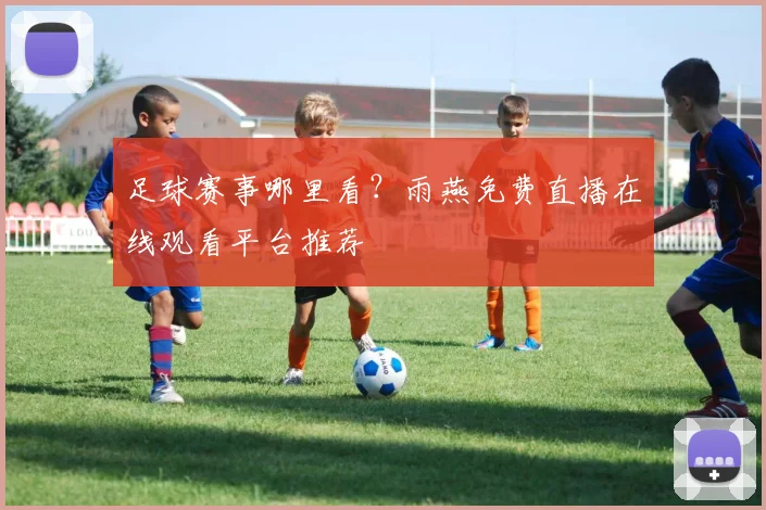 足球赛事哪里看？雨燕免费直播在线观看平台推荐