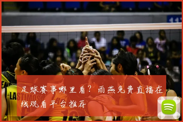 足球赛事哪里看？雨燕免费直播在线观看平台推荐
