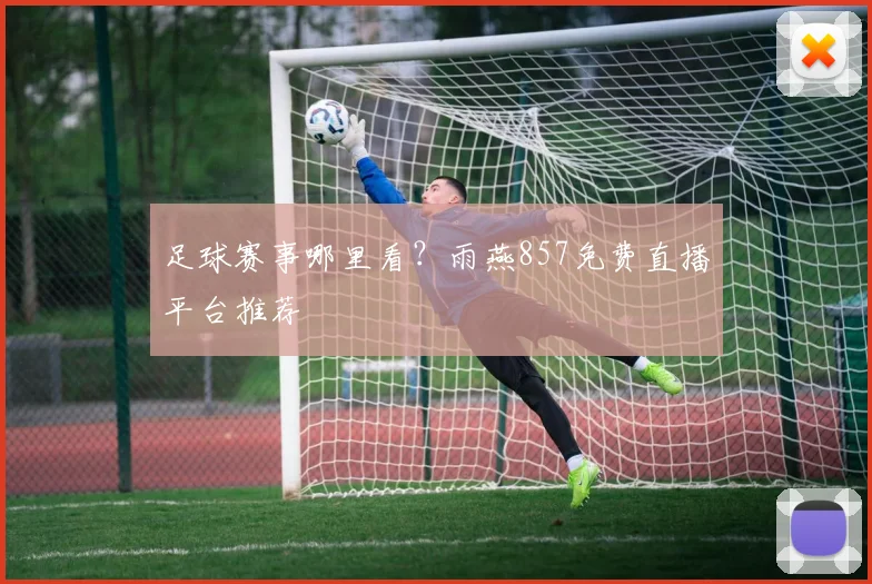 足球赛事哪里看？雨燕857免费直播平台推荐