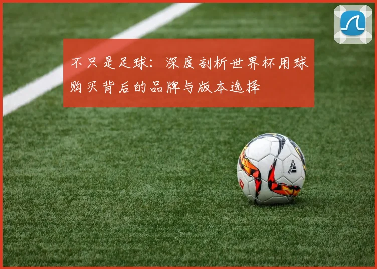 不只是足球：深度剖析世界杯用球购买背后的品牌与版本选择