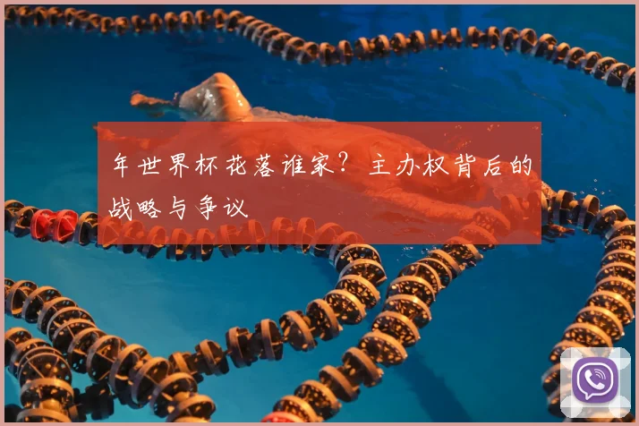 年世界杯花落谁家？主办权背后的战略与争议