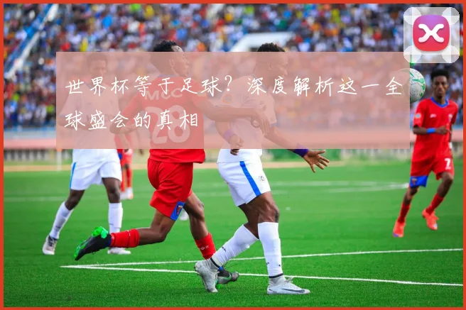 世界杯等于足球?深度解析这一全球盛会的真相
